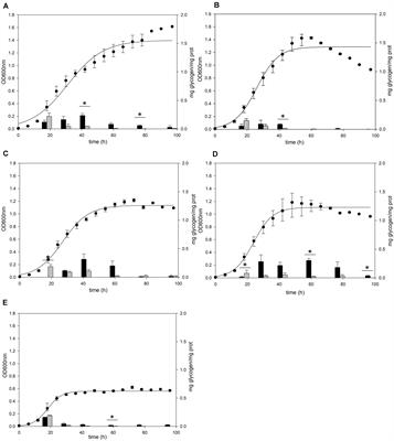 Identification of the Genes Related to the Glycogen Metabolism in Hyperthermophilic Archaeon, Sulfolobus acidocaldarius